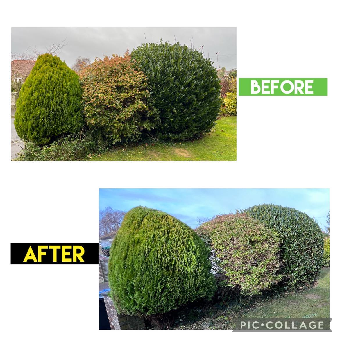 before&after3